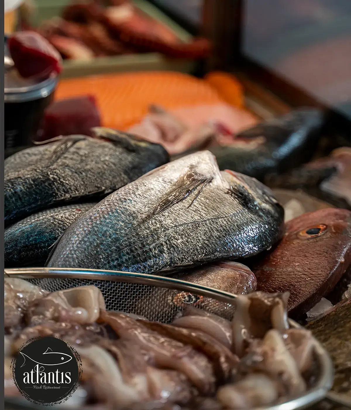 Frischfischtheke des Atlantis am Kutschkermarkt in Wien